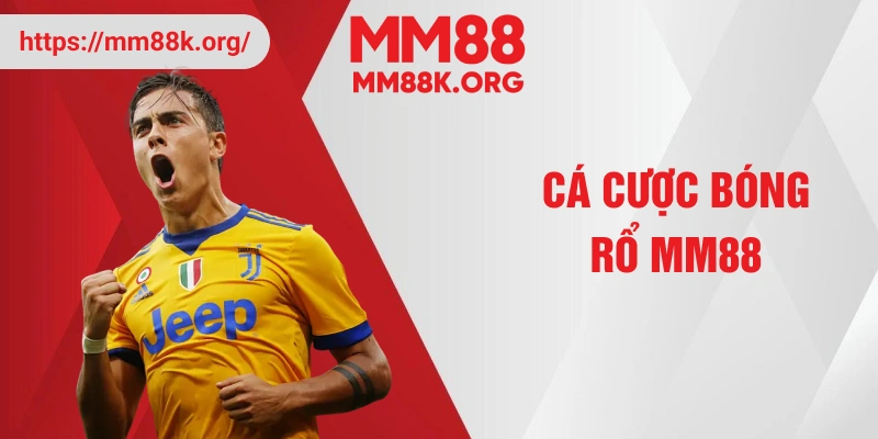 Cá cược bóng rổ MM88