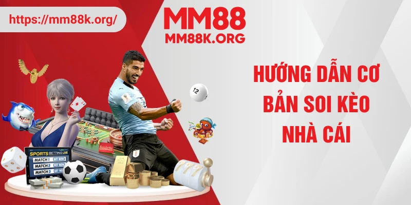 Hướng dẫn cơ bản soi kèo nhà cái