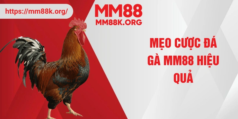Mẹo cược đá gà MM88 hiệu quả